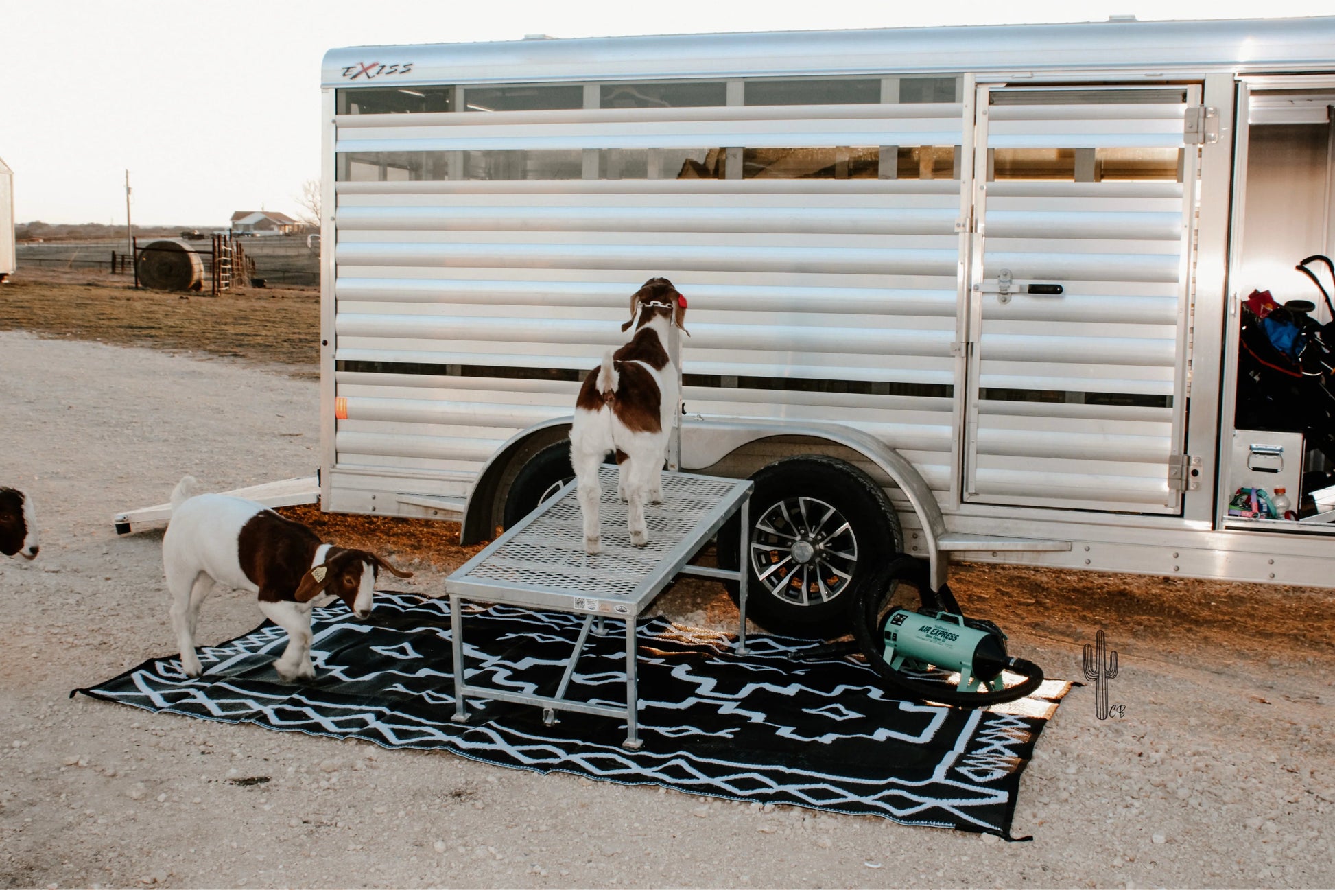BOHO AZTEC OUTDOOR RUG - CountryFide Custom Accessories and Outdoors