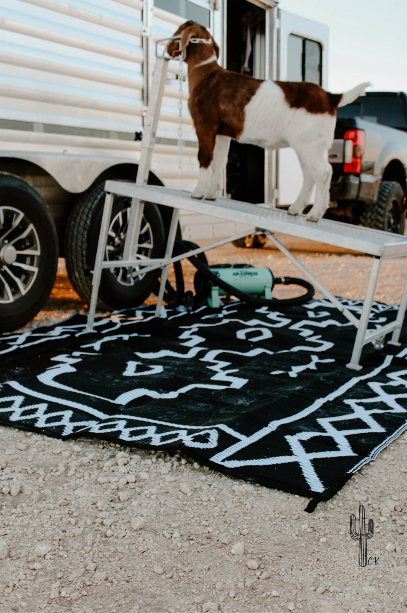 BOHO AZTEC OUTDOOR RUG - CountryFide Custom Accessories and Outdoors